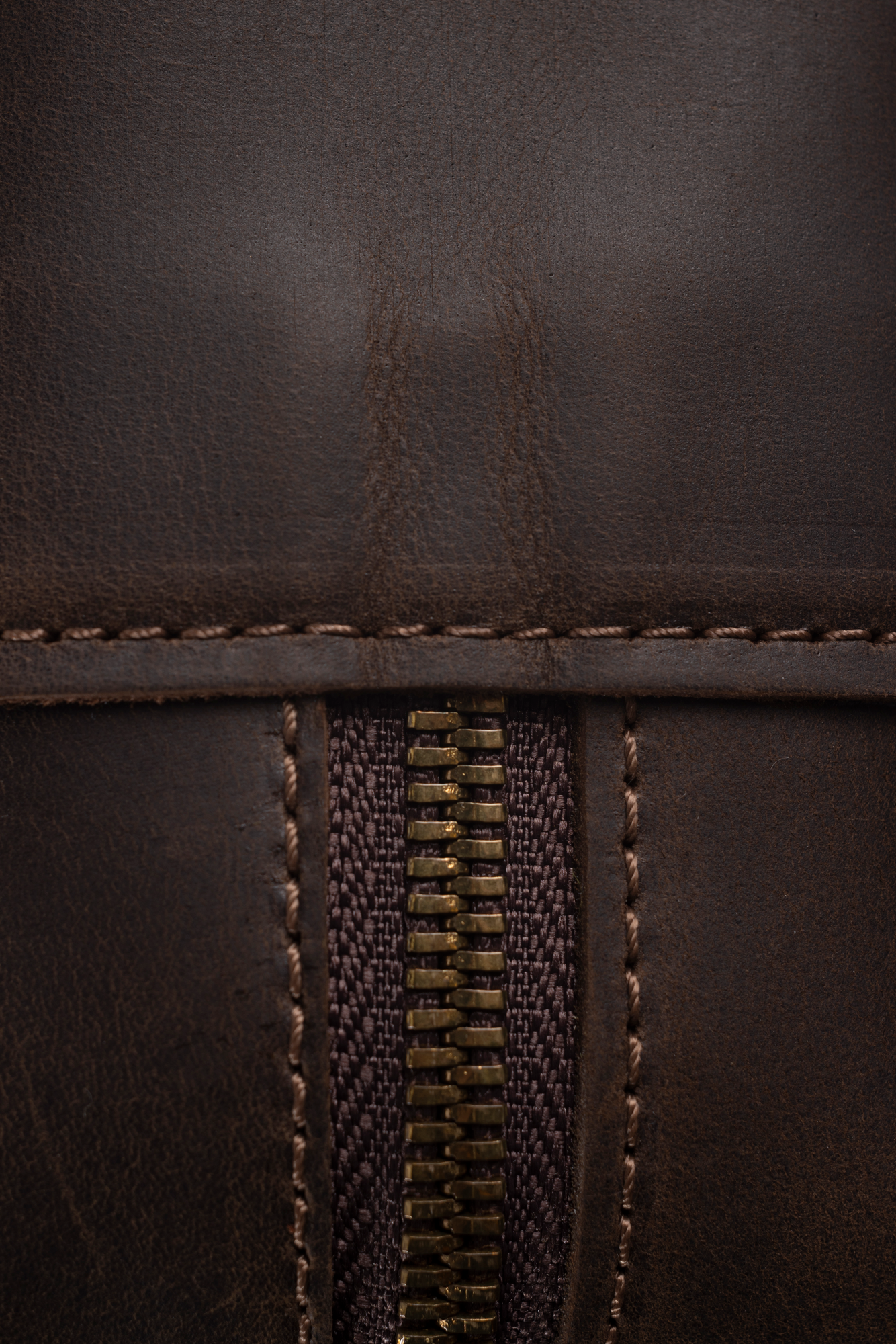 Signature Leather Case in Dark Brown