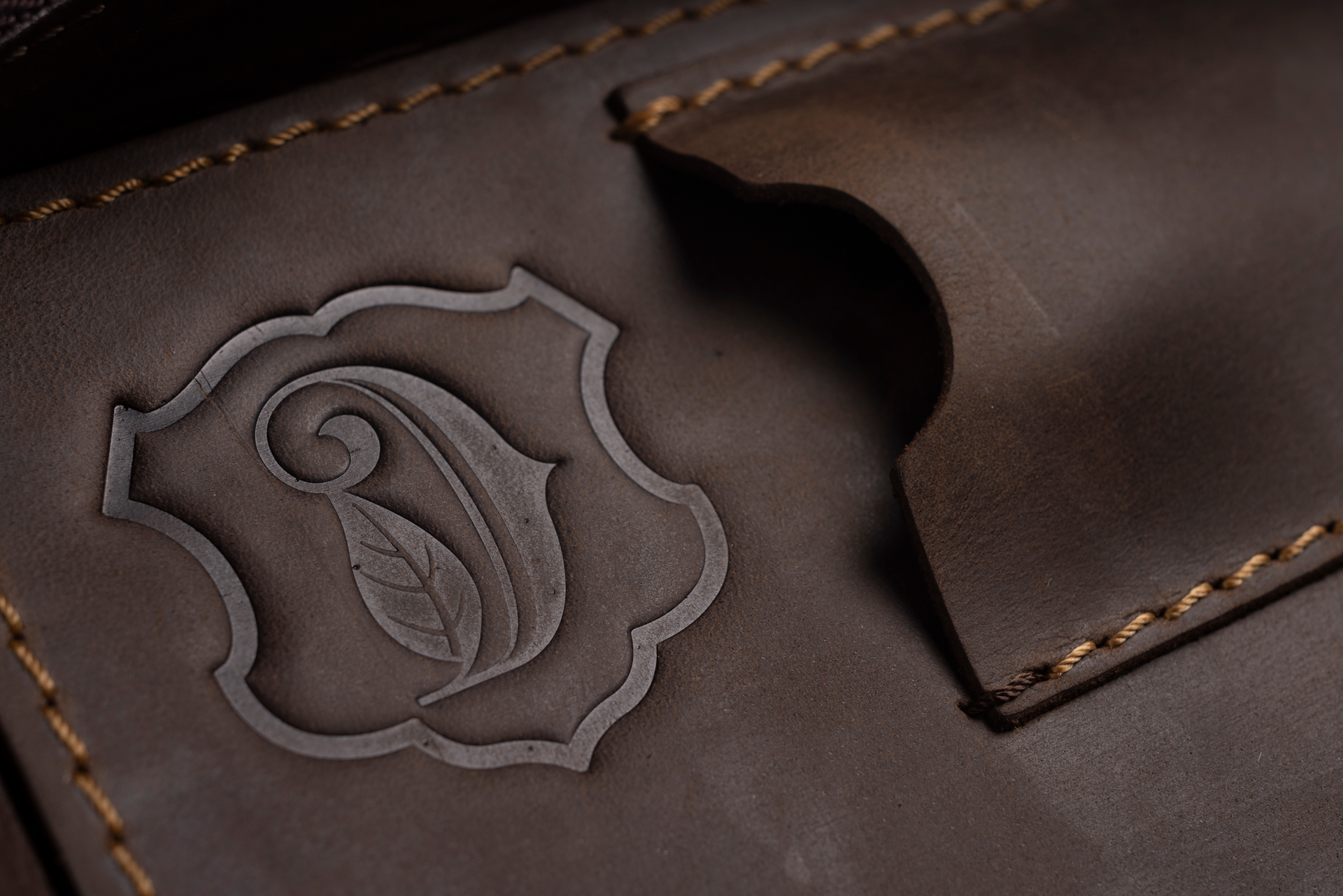 Signature Leather Case in Dark Brown